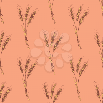 Sketch wheat bran in vintage style, vector seamless pattern