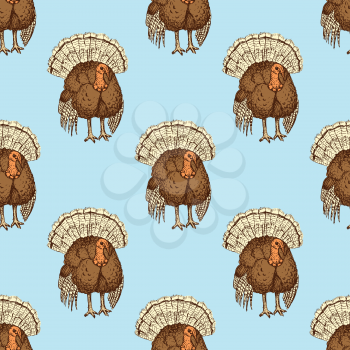 Sketch Thanksgiving turkey in vintage style, vector seamless pattern