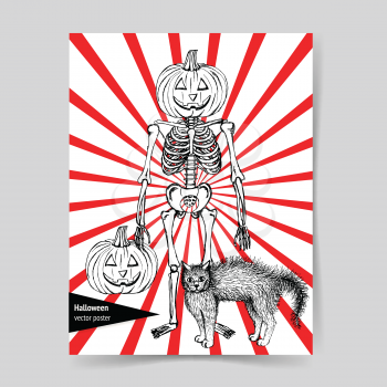 Sketch skeleton with curved pumpkin head and cat in vintage style, vector
