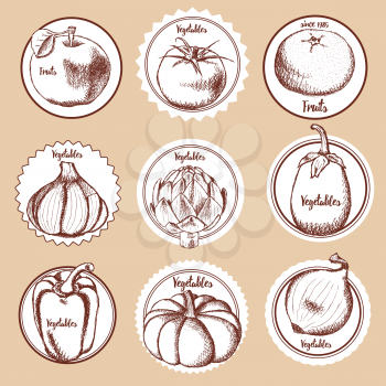 Sketch set of vegetable logos in vintage style, vector