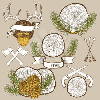 Pine branches and cones with tree rings in hipster style, vector antlers, arrows and ribbons