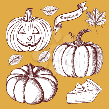 Sketch set of pumpkins in vintage style, vector