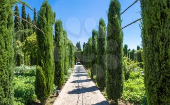 Gardens in Alhambra palace in Granada in a beautiful summer day, Spain