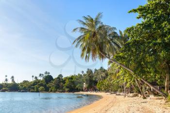 Beach on Koh Phangan island, Thailand in a summer day