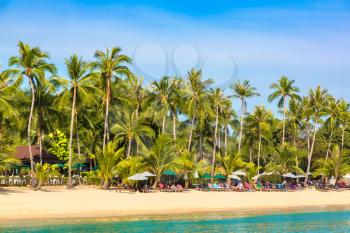 Tropical beach with palm trees on Koh Samui island, Thailand in a summer day