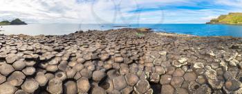 Giant's Causeway in a beautiful summer day, Northern Ireland