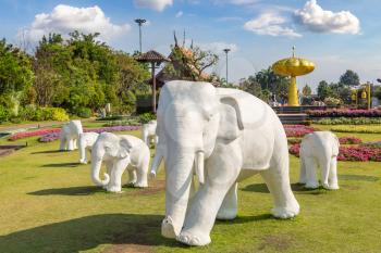 The Royal Ratchaphruek Park in Chiang Mai, Thailand in a summer day