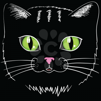 colorful illustration with black cat head for your design