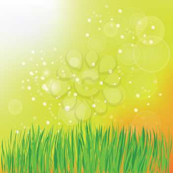 colorful illustration with spring grass for your design