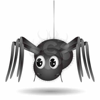illustration wall with Cartoon Spider  on white background  for your design