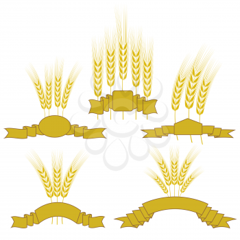 Set of Wheats with Ribbons Isolated on White Background.