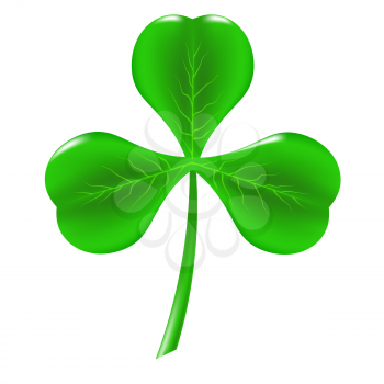 Green Clover Isolated on White Background. Symbol of Patricks Day.