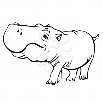 Cartoon Hippopotamus Isolated on White Background. Fat Hippo.
