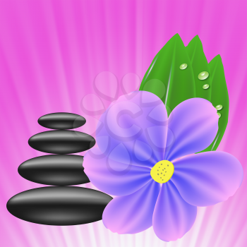 Stones and Blue  Flower on Pink Wave Background. Set of Stones for SPA
