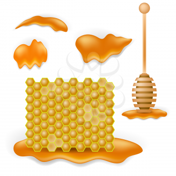 Set of Sweet Honey Isolated on White Background
