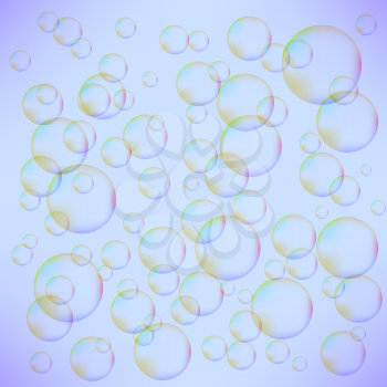 Transparent Colorful Foam Bubbles Isolated on Blue Background