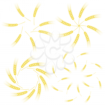 Yellow Ears of Wheat Icon Set Isolated on White Background