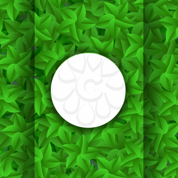 Green Leaves Pattern. Evergreen Hedgegrow. Summer Leaves Background