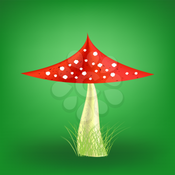 Vector Poisonous Mushroom on Soft Green Background. Fly Agaric