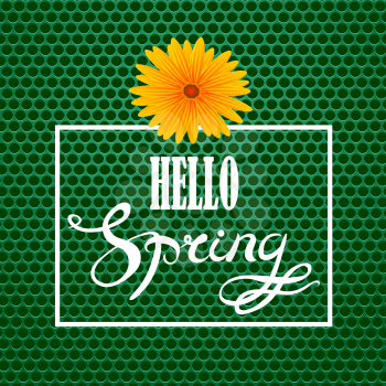 Hello Spring  Lettering Design.Green Banner with a Textured Carbon Grid Background and Text in Square Frame.