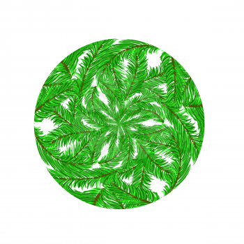 Fir Green Branches Pattern on White Background