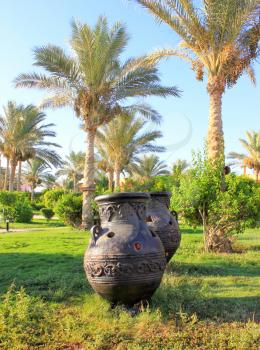 Old vintage vases on tropical date palm background