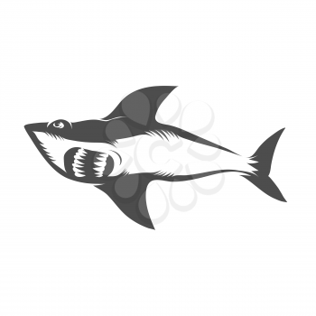 Shark Isolated on White Background. Fish Animal Pattern.