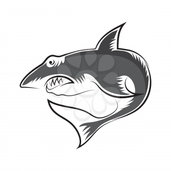 Shark Isolated on White Background. Fish Animal Logo.