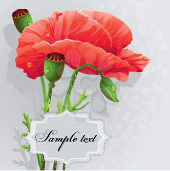 Royalty Free Clipart Image of Poppies on a Grey Background