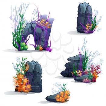 Royalty Free Clipart Image of a Underwater Stones and Algae