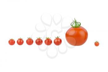 Tomato covey. Seven little cherry tomatoes with a big one isolated on white.