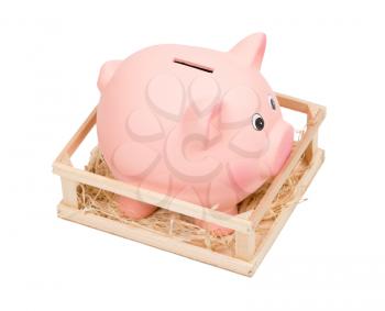 Piggy bank in small wooden corral, isolated on white. 