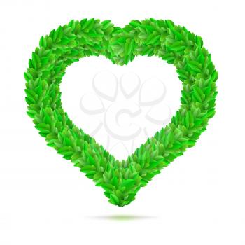 Heart symbol in green leaves. A symbol of love of the green leaves. A love of nature or man, the graphic symbol for your design. Vector illustration.
