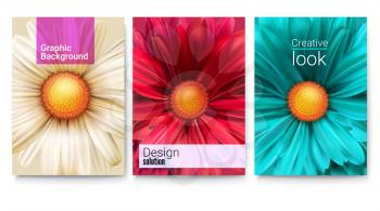 Set of spring covers with text design and bud of flowers close-up. Fashioned background with patterns of daisies for banners brochure, layout, 3D illustration. Vector template of poster.