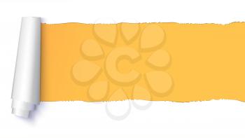 Realistic torn open paper with space for text on orange, horizontal background, holes in paper. Torn strip of paper with uneven, torn edges. Coiling torn strip of paper