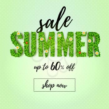 Summer sale, up to 60 percent discount. Handwriting text lettering. Inscription Summer from green plants, daisies and ladybugs. Creative promo banner for summer sales actions.