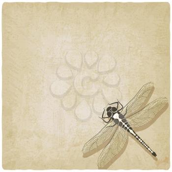 dragonfly insect old background - vector illustration. eps 10