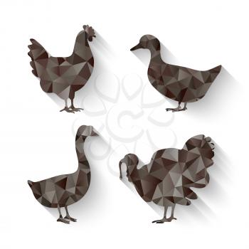 domestic fowl triangle symbol - vector illustration. eps 10