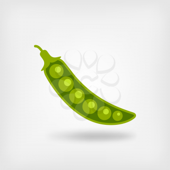 green pea pod. vector illustration - eps 10