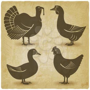 Poultry black silhouette set Domestic fowls icons vintage background. Vector illustration