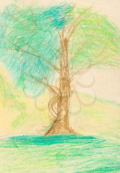 children drawing - green tree in hot summer day