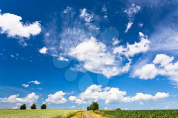 summer blue sky with white clouds under country fields