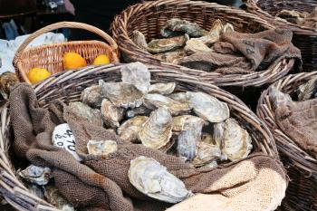 fresh oysters at market in Cancale, Brittany, France
