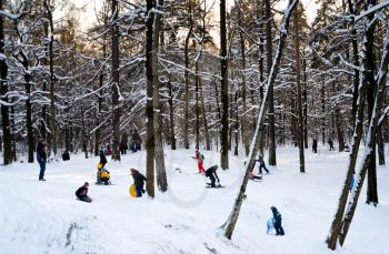 children with slegs on hills in park in winter