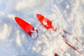 tips of red skis in sunny snow