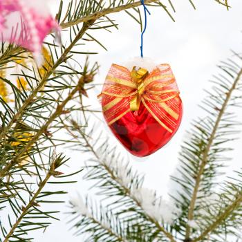 Christmas-tree decoration (red heart) on the tree outdoor