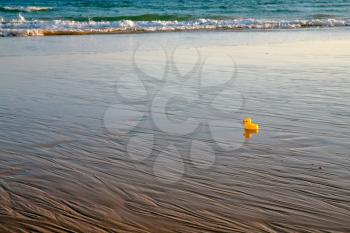 yellow small toy duckling on sand beach in evening