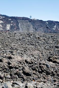 hardened lava field on Etna slope, Sicily
