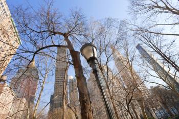 buildings and naked trees in New York