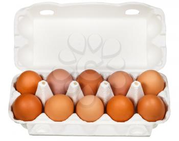 chicken eggs in cardboard package isolated on white background